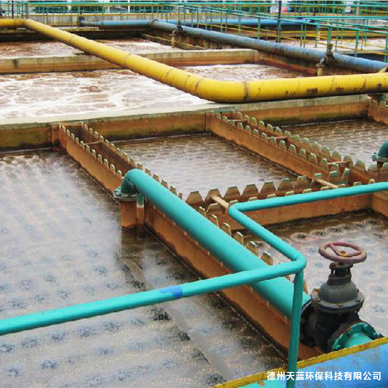 屠宰場污水處理方案